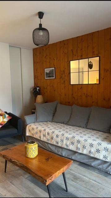 Appartement Tt Confort Au Coeur Des Montagnes Vue Sur Les Montagnes II Wifi Luz-Saint-Sauveur Exterior foto